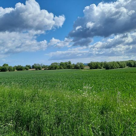 Pension Landidylle Wohlenhagen Exteriör bild