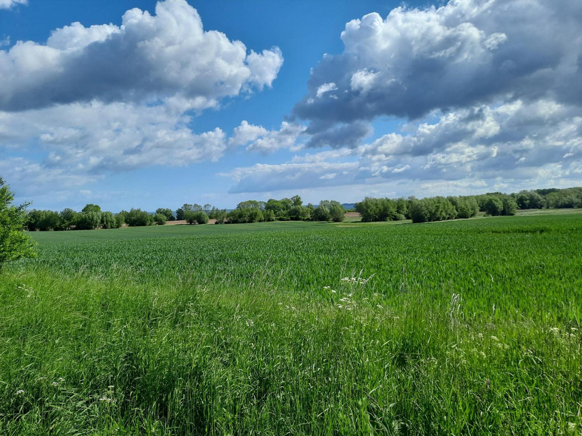 Pension Landidylle Wohlenhagen Exteriör bild